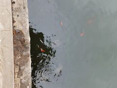 -莲池书院博物馆