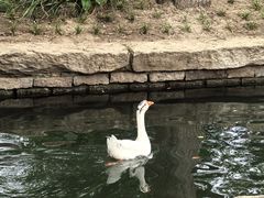-春风习习