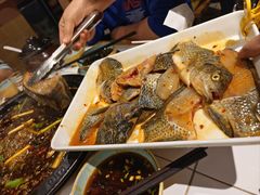 -费明中罗非鱼(大石坝店)