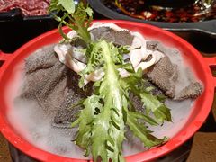 -巴倒烫陆派重庆火锅(南山店)