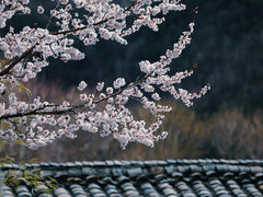 -牛背山