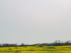 -苏州海洋馆
