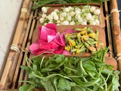 -菌自由丨野生菌火锅特色庭院餐厅(丽江古城店)