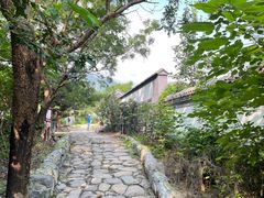 -阳台山自然风景区