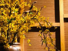 -望湘园·洞庭渔宴(永旺店)