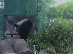-柳州市动物园