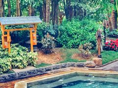 -厦门日月谷温泉渡假村