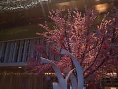 -金轩中餐厅 Jin Xuan(浦东丽思卡尔顿酒店)