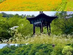 -玉华宫景区