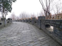 -溱湖国家湿地公园