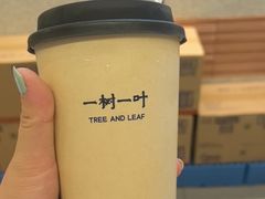 -一树一叶·福建茶档(石鼓路店)