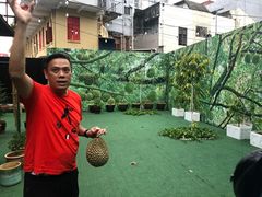 -都念榴莲·城市榴莲