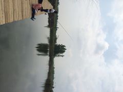iphone_upload_pic-白洋淀锅里口灶台鱼