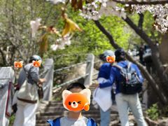 -崂山巨峰游览区