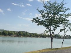 -羊山湖公园
