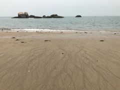 -厦门国家会计学院