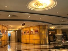 -电谷雅阁国际大酒店