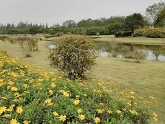 -夏河溪乡野公园