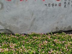 -东岳体育公园