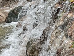 -牛背梁国家森林公园