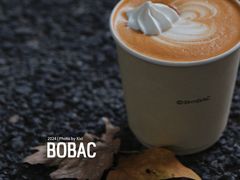 -BOBAC