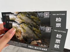 -杨家堂村