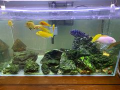 -Rabbit Cafe私房西餐甜点咖啡(栖霞路店)