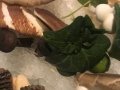 -盡膳口福跷脚牛肉火锅(北美新天地店)