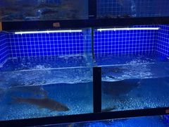 水产区-千岛湖小鱼儿·淳安匠心农家菜