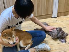 -Double Rui宠物酒店