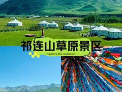 -祁连山草原