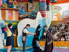 -海合安武汉极地海洋公园