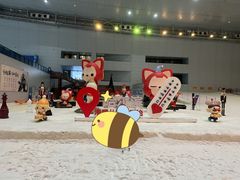 -哈尔滨热雪奇迹
