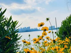 -金银湖国家城市湿地公园