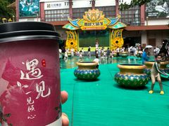 -西双版纳原始森林公园
