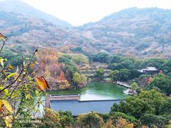 -白马涧龙池景区