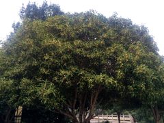 -韶山毛泽东同志故居