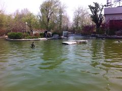 iphone_upload_pic-山东大厦