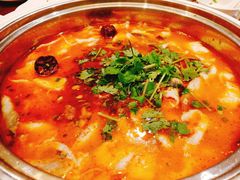 -龙梅肥肠鱼(明瓦廊店)
