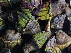 -阿伍海鲜大排档(塔湾金沙店)