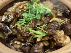 -广宁炭炉鸡煲·富临门饭店