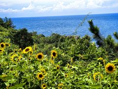 -南紀白浜 浜千鳥の湯 海舟