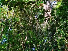 -七仙岭温泉国家森林公园