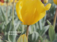 -静安雕塑公园