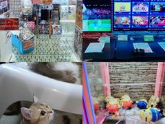 -暗黑魔法·玄灵未妖阁·塔罗·占星·心理咨询