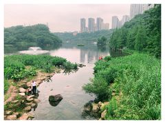 -重庆彩云湖湿地公园