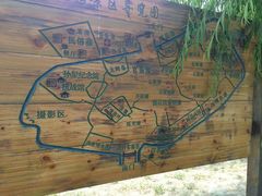 -白洋淀景区