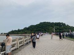 -野狸岛