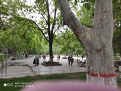 -长安公园