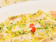 -有腥气私房菜·寻味顺德